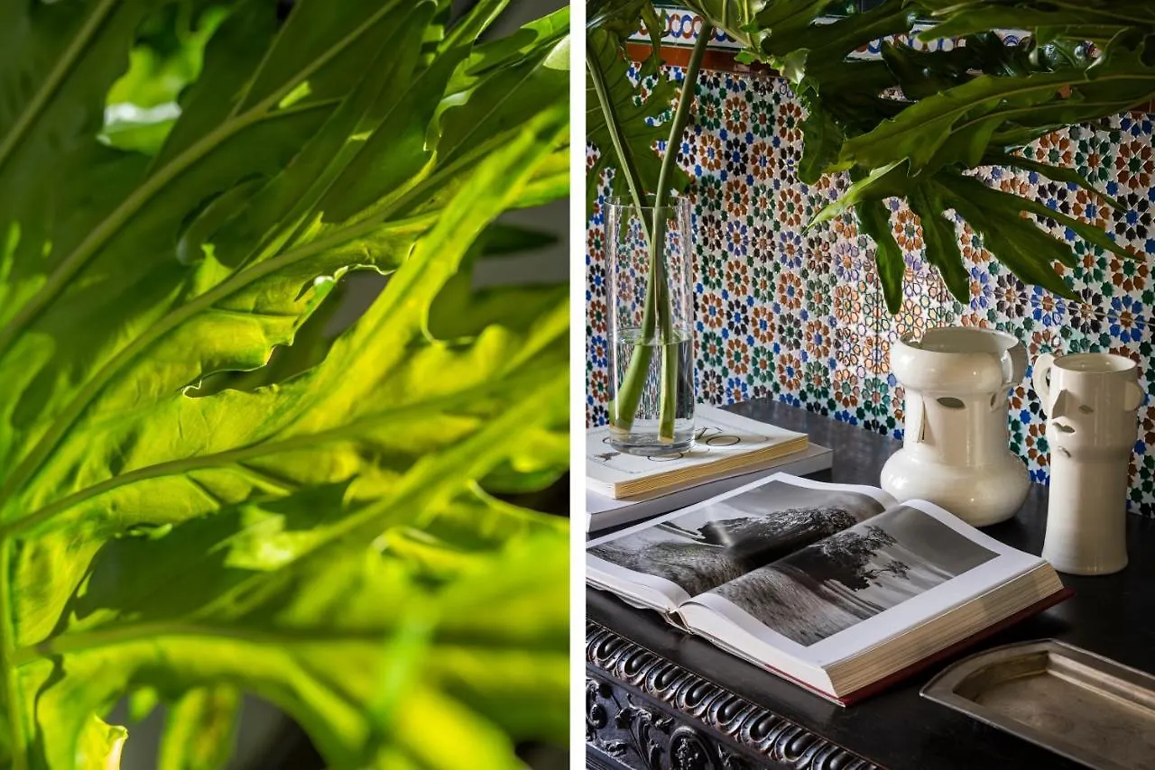 Villa Alfonso, Restored Palace House With Gardens And Monuments Views Sewilla